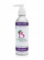 Organic Vegan Mum To Be Shampoo with Sweet Orange and Lavender, suitable for sensitive skin and eczema 150ml